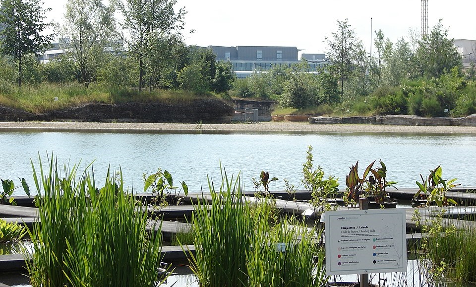 Le Jardin botanique de Bordeaux et son lac.